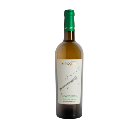 Fattoria Pagano Falanghina Roccamonfina IGT 2023 | 0,75cl